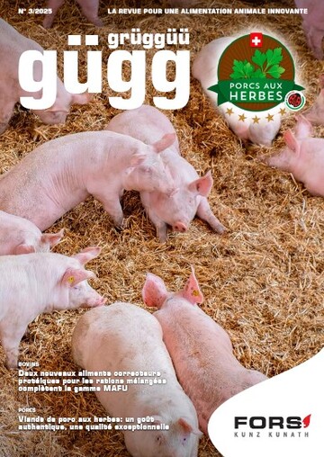 Gügg Grüggüü 2/2025