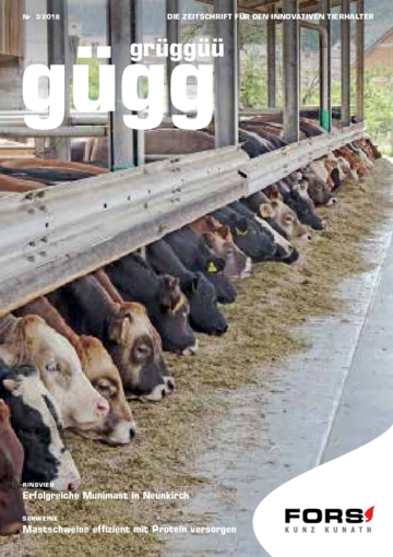 Gügg Grüggüü Ausgabe 3. 2018