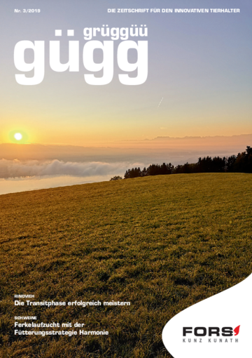 Gügg Grüggüü Ausgabe 3. 2019
