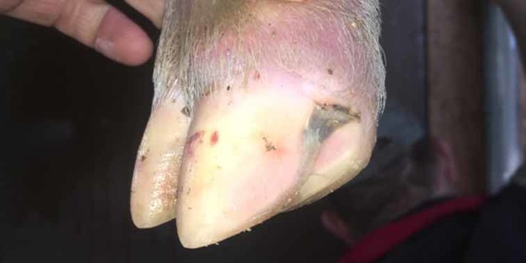 [Translate to Français:] 