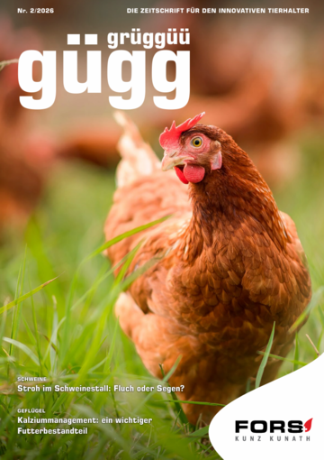 Gügg Grüggüü Ausgabe 2. 2026