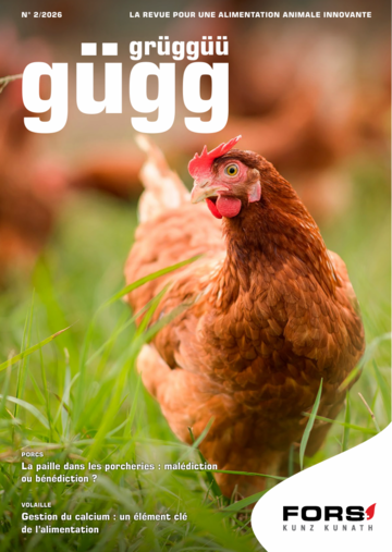 Gügg Grüggüü 2/2026