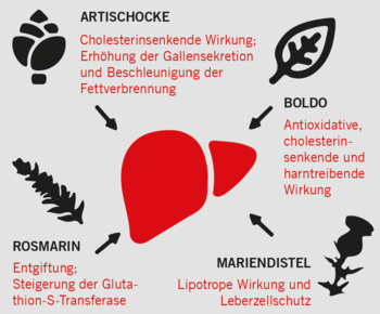 igf-1 lr3 dosage protocol for bulking hypertrophy Glutathion