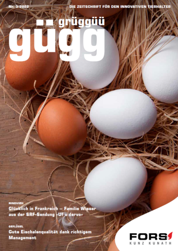 Gügg Grüggüü Ausgabe 3. 2022
