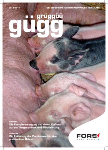 Gügg Grüggüü Ausgabe 2. 2019
