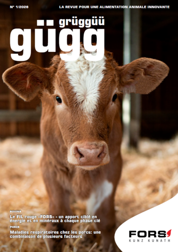 Gügg Grüggüü 1/2026