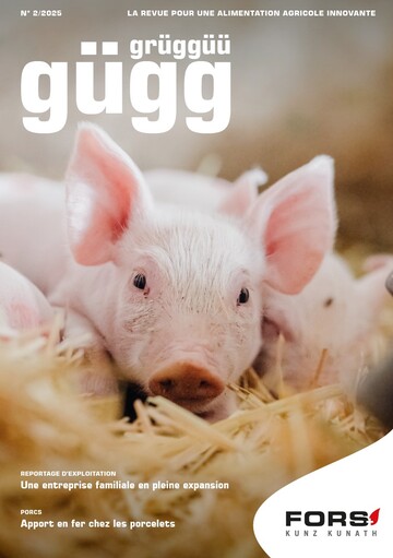 Gügg Grüggüü 2/2025