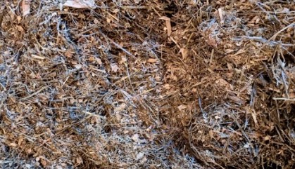 Ration vom März 2025