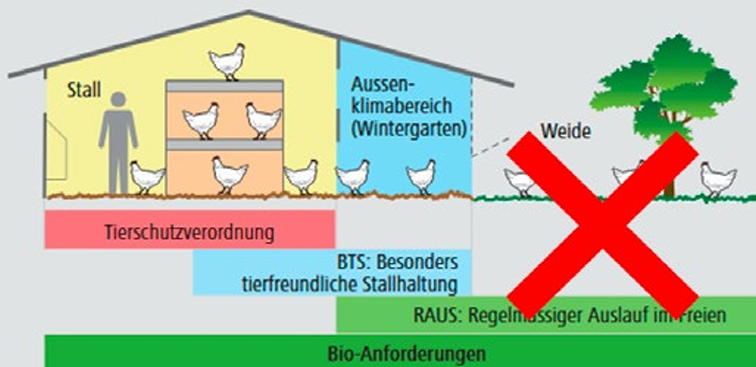 [Translate to français:] Grafik aus dem Lehrmittel «Geflügelhaltung» für die berufliche Grundbildung der Geflügelfachfrau, des Geflügelfachmannes (Quelle: Aviforum)